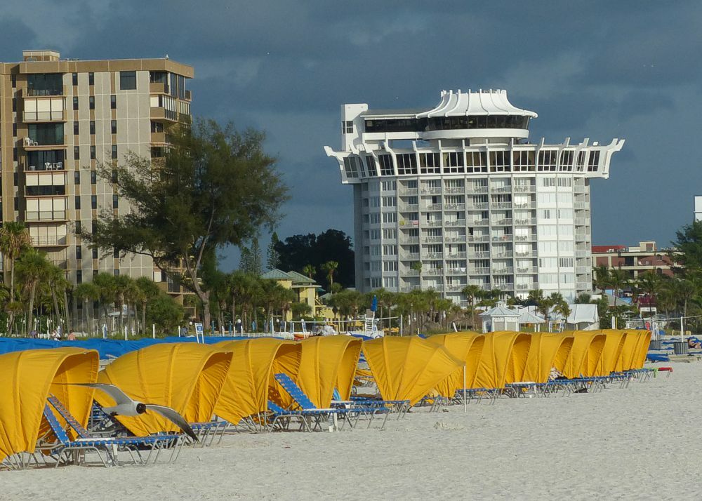 Click to See Next Image